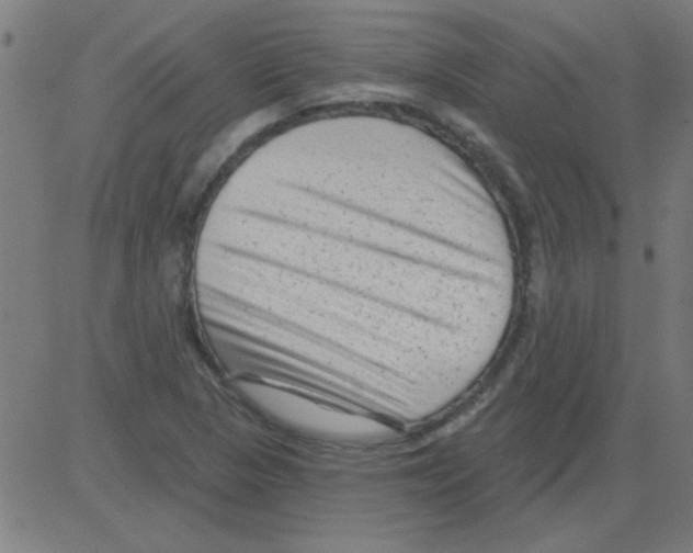 X0000081461313200702092305