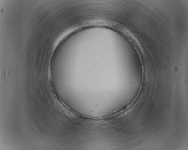X0000081461328200702092305