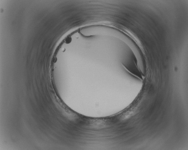 X0000081461332200702092305