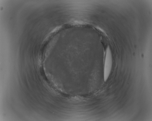 X0000081461348200702092304