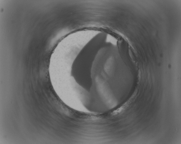 X0000081461359200702092304