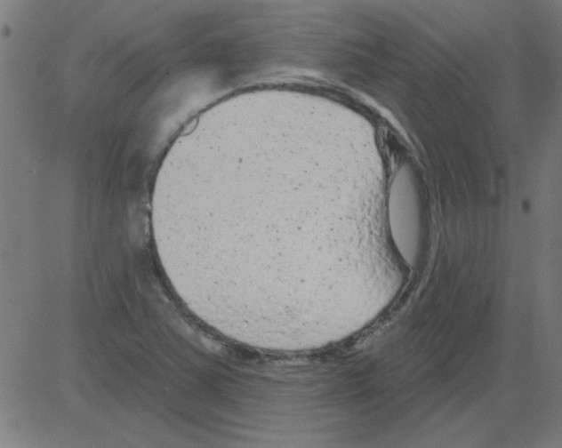 X0000081461363200702092304