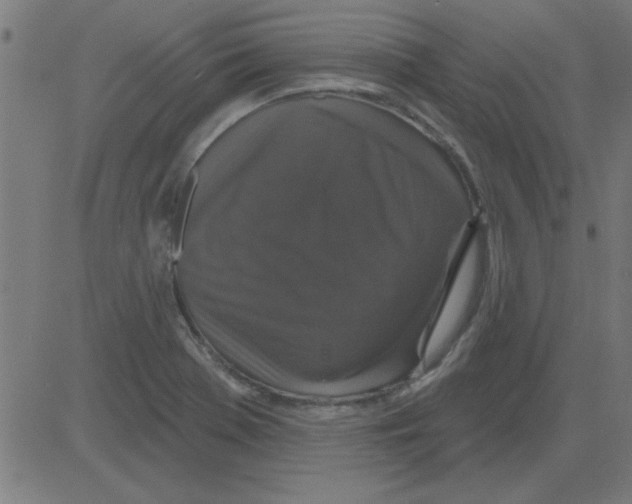 X0000081461369200702092304