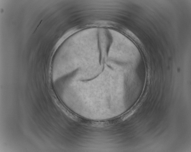 X0000081461378200702092304