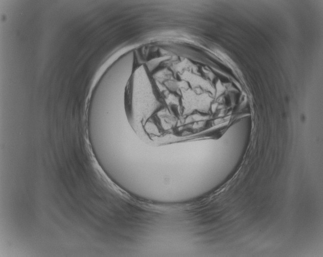 X0000081461392200702092304