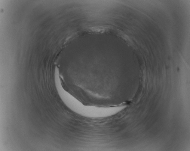 X0000081461394200702092303