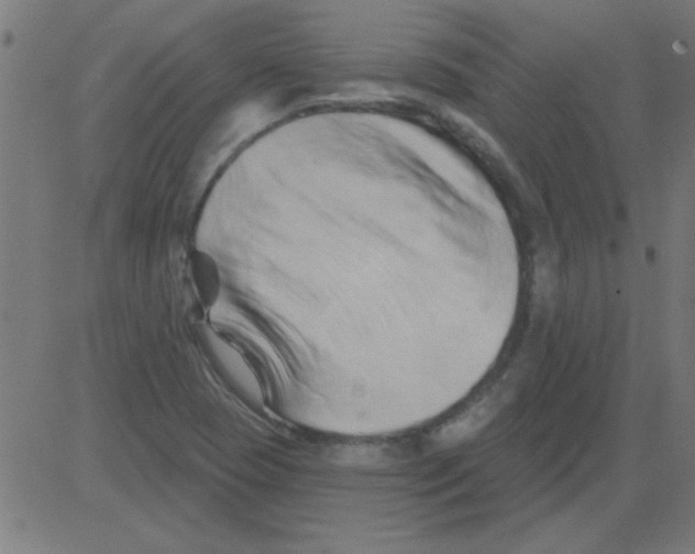X0000081461409200702092303