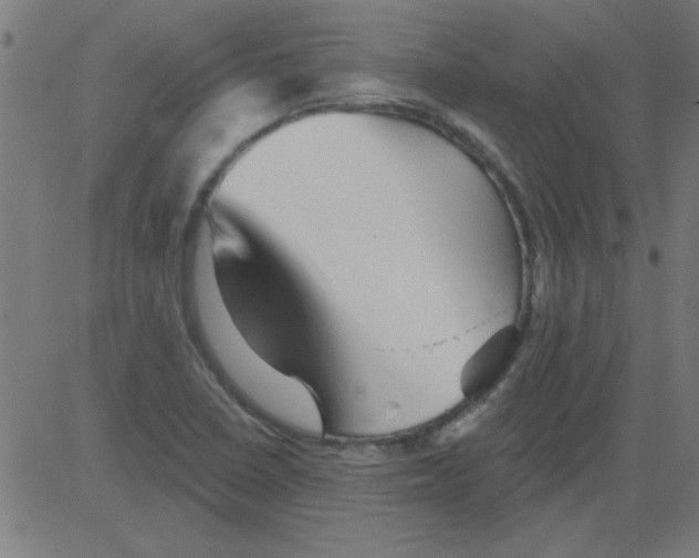 X0000081461410200702092303