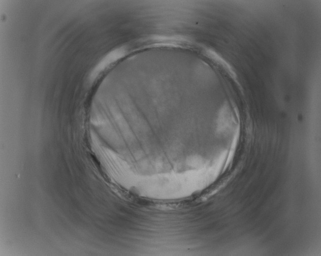 X0000081461411200702092303