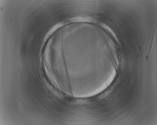 X0000081461419200702092303
