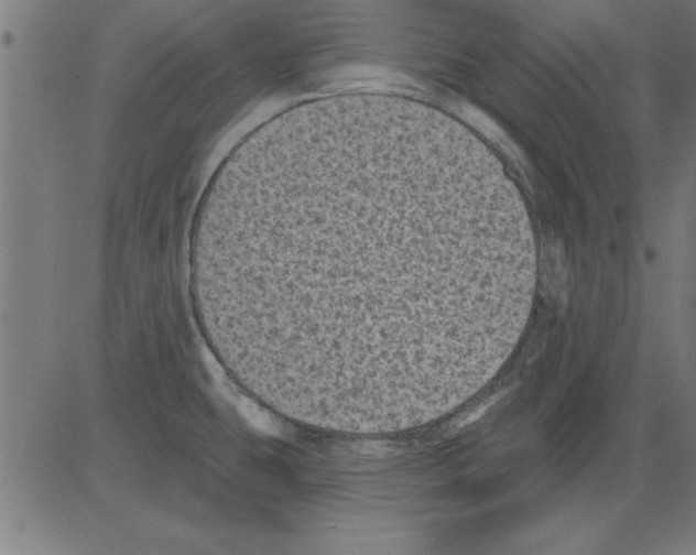 X0000081461431200702092304