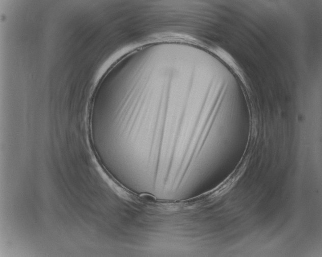 X0000081461438200702092304