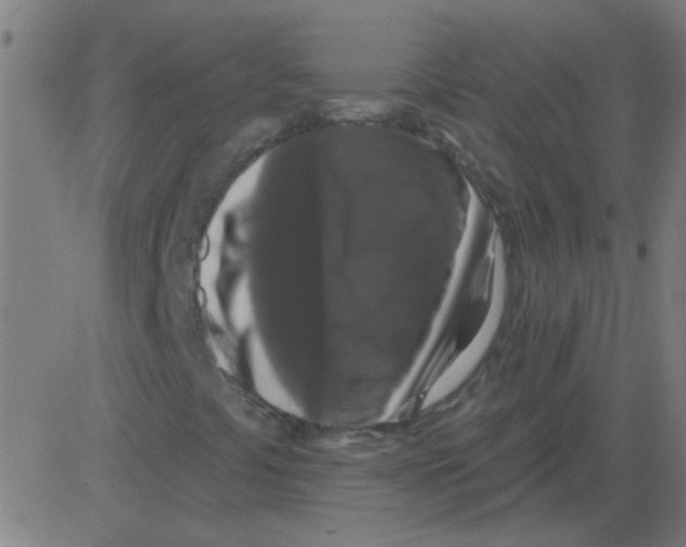 X0000081461441200702092303
