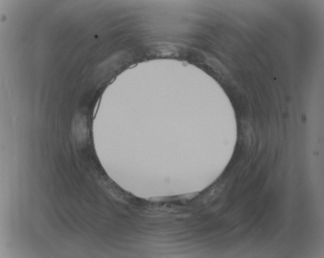 X0000081461442200702092303