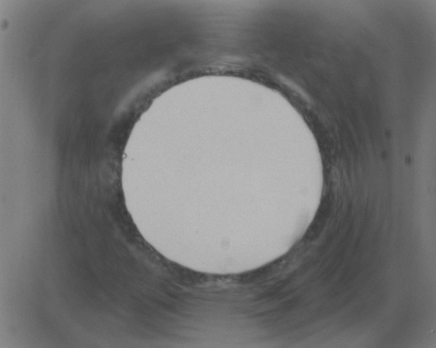 X0000081461447200702092303