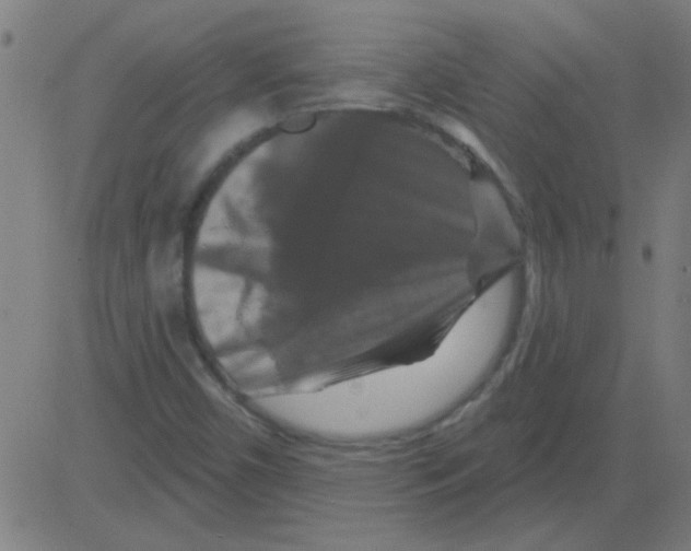 X0000081461450200702092303