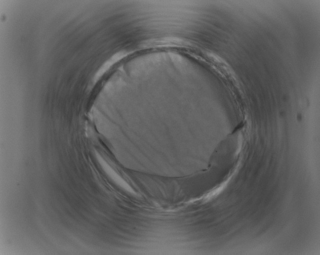 X0000081461457200702092303