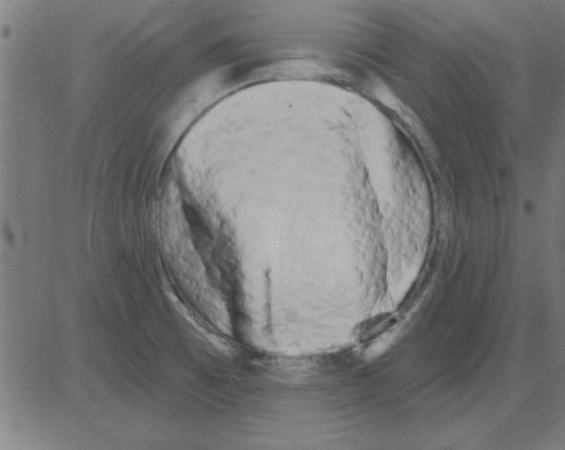 X0000081461473200702092302