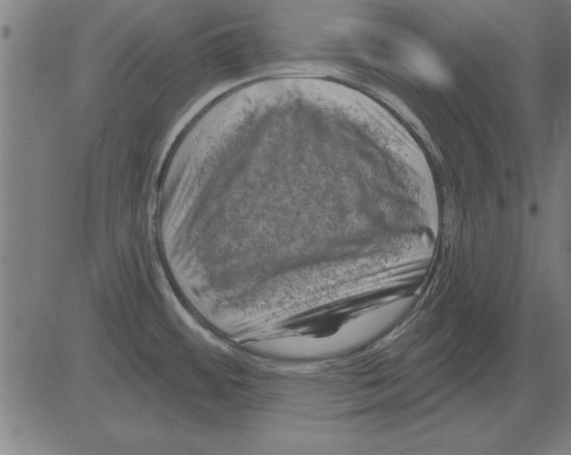 X0000081461484200702092302