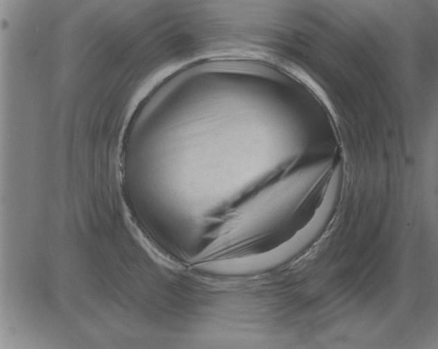 X0000081461485200702092302