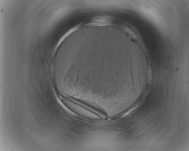 X0000081461487200702092302