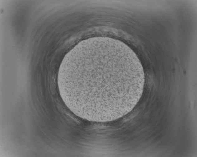 X0000081461489200702092301