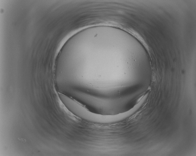 X0000081461532200702092302