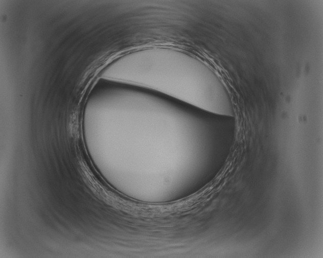 X0000081470002200701121027