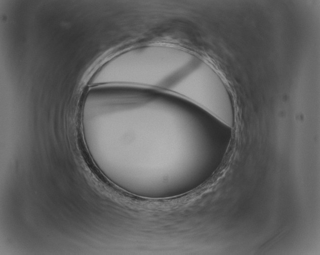 X0000081470007200701121027