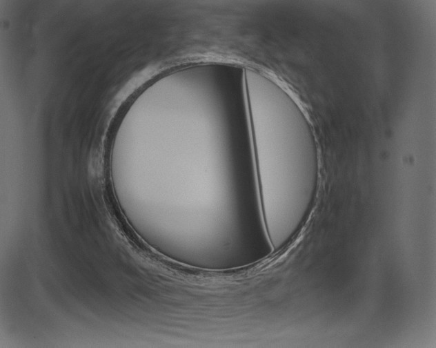 X0000081470008200701121027