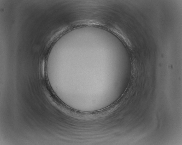 X0000081470014200701121027