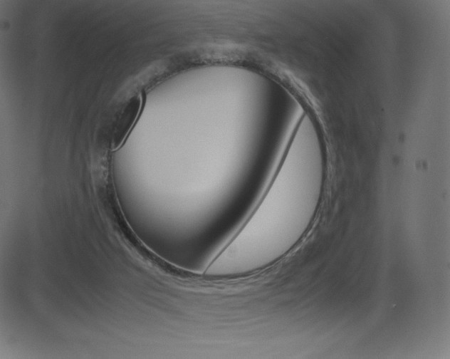 X0000081470017200701121027