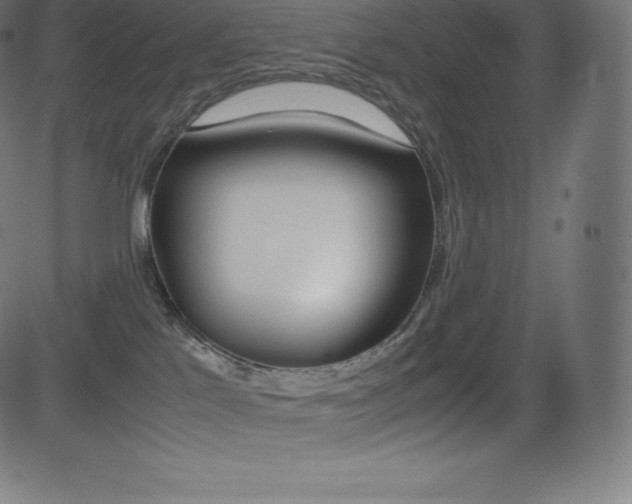 X0000081470041200701121027