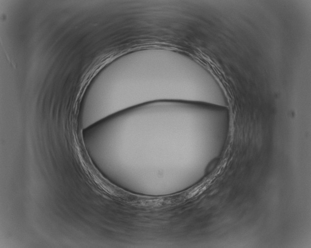 X0000081470049200701121026