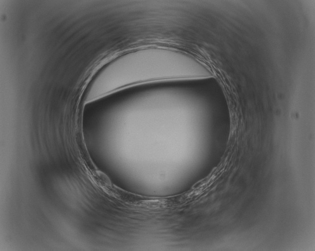 X0000081470050200701121026