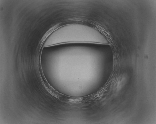 X0000081470051200701121026