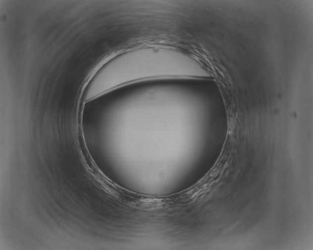 X0000081470052200701121026