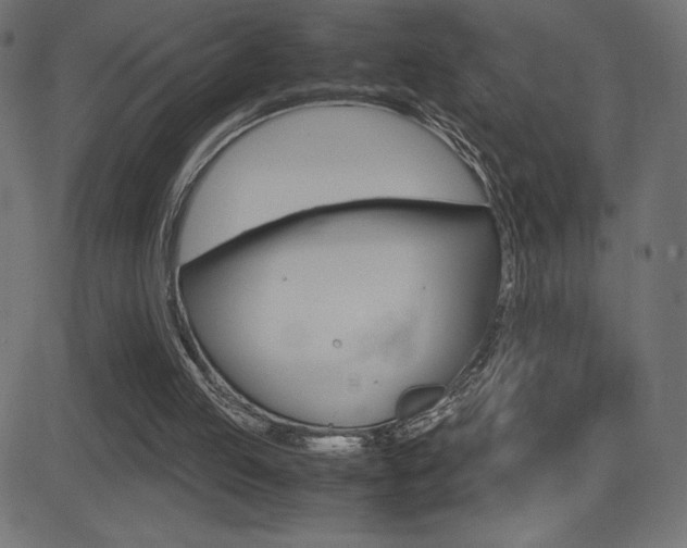 X0000081470053200701121026