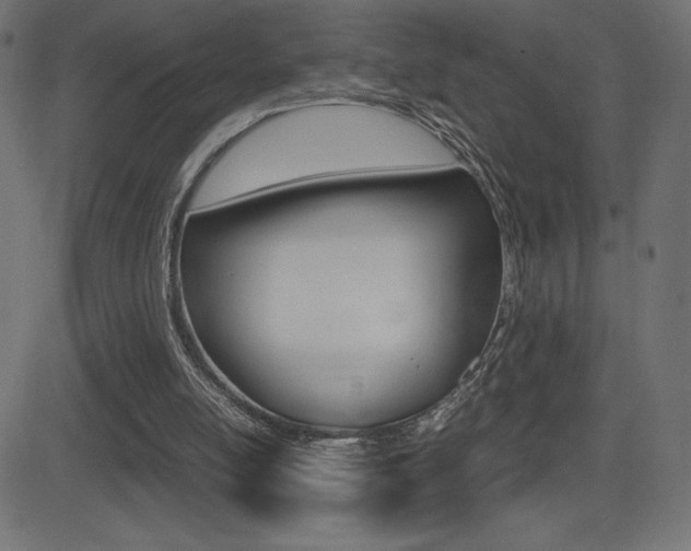 X0000081470054200701121026