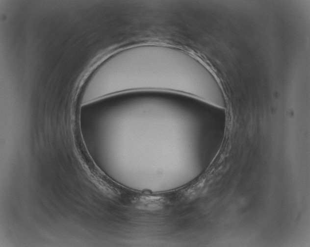 X0000081470055200701121026