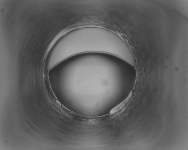 X0000081470056200701121026