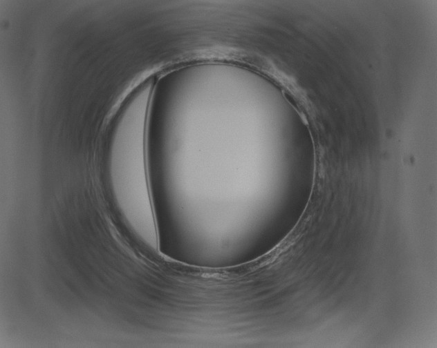 X0000081470060200701121026