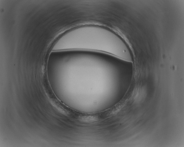 X0000081470063200701121026