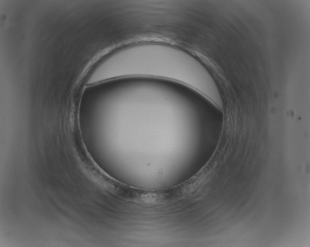 X0000081470064200701121026