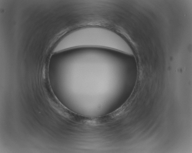 X0000081470068200701121026