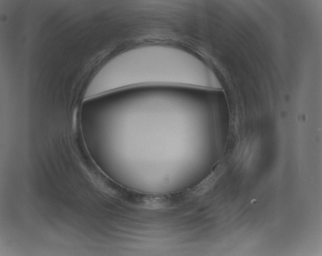X0000081470070200701121026