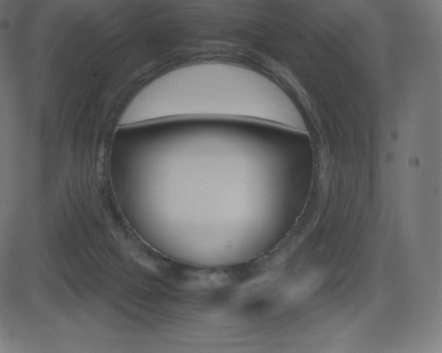 X0000081470073200701121026