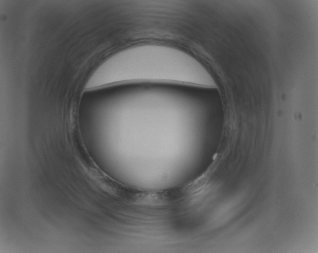 X0000081470074200701121026