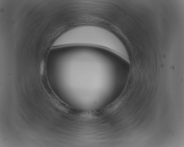 X0000081470076200701121026
