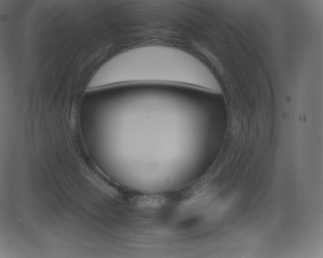 X0000081470077200701121026